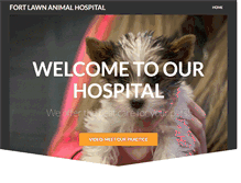 Tablet Screenshot of fortlawnvet.com